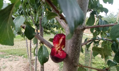 295094824_5496829813701961_6631207054089469093_n