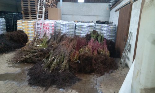 417532513_879188634212221_5842304856628726507_n